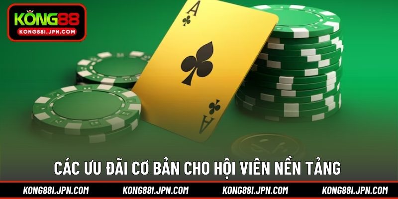 Các ưu đãi cơ bản cho hội viên nền tảng 