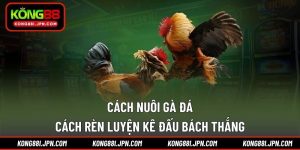 Cách nuôi gà đá