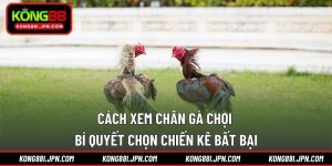 cách xem chân gà chọi