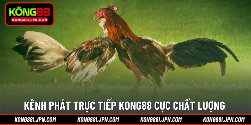 Kênh phát trực tiếp KONG88 cực chất lượng 