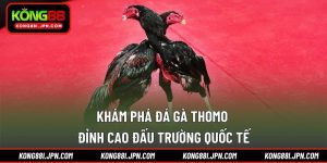 Khám phá đá gà Thomo