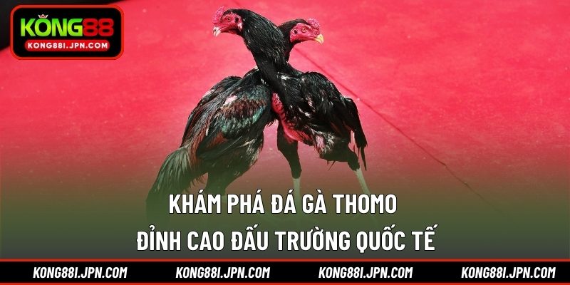 Khám phá đá gà Thomo