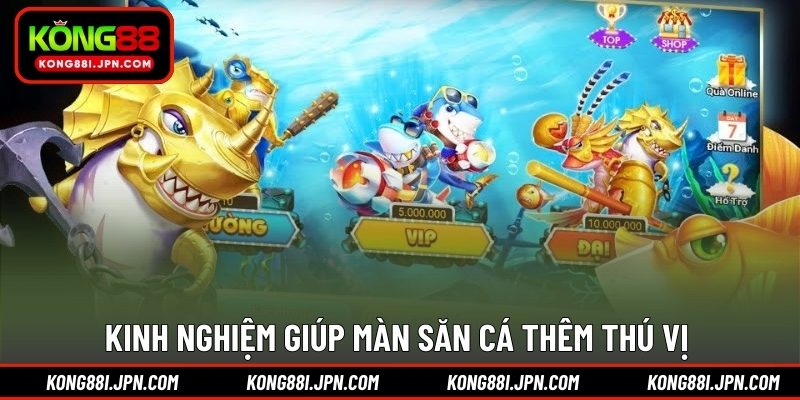 Kinh nghiệm giúp màn săn cá thêm thú vị 