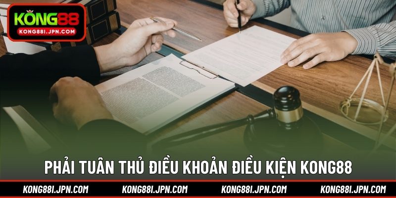 Phải tuân thủ điều khoản điều kiện KONG88